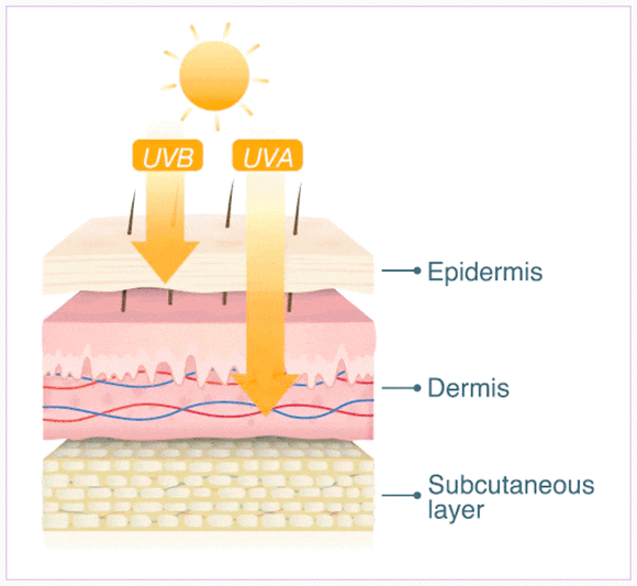 Why the Duration of Juvelook Results Varies from Person to Person at Mullae Dermatology Clinic image 6