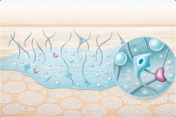 레디어스 목주름 개선 원리 효과 한 번에 정리 관련 이미지 4
