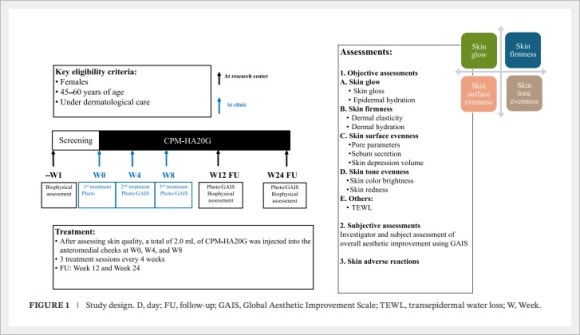벨로테로 리바이브 효과와 부작용은? 관련 이미지 4