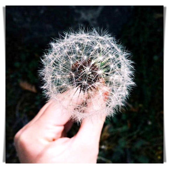 혈당 롤러코스터에서 내려오는 현명한 방법 관련 이미지 1