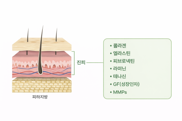 영등포 리투오 효과, 기존 스킨부스터보다 좋을까? 관련 이미지 5