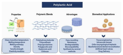 포텐자 펌핑팁 모공팁 무슨 차이가 있을까? 관련 이미지 7