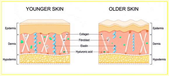 Lifting at a Dangsan Dermatology Clinic: How to Choose the Right Treatment for You image 2
