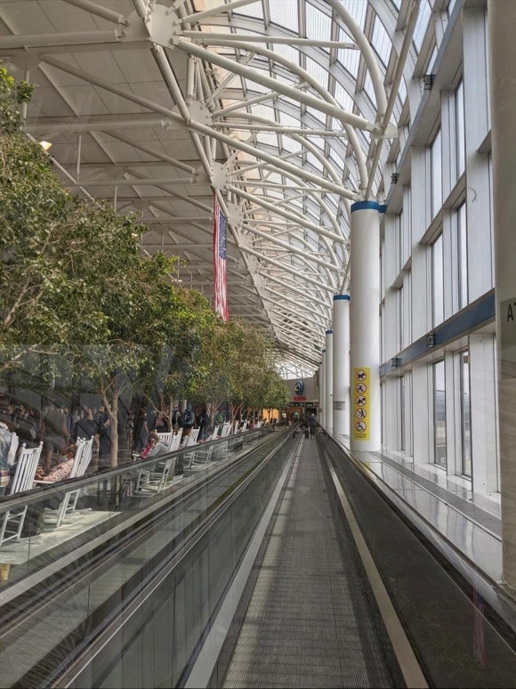 The Generosity of Cats (2002) - Exploring Hiroyuki Morita 관련 이미지 1