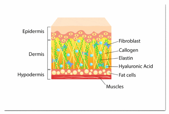 영등포LDM 푸석한 피부에 수분 공급을 관련 이미지 2