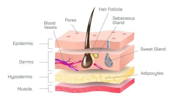 Time Square Dermatology: The Real Reason Results Differ Even with the Same Procedure image 3