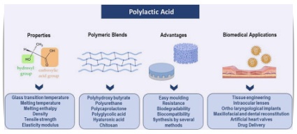 포텐자 펌핑팁 쥬베룩 병행 효과 총정리 관련 이미지 3