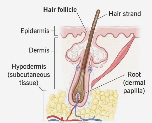 Dangsan Station Dermatology Clinic for Hair Removal, Why Treatment Suited to You Matters image 6