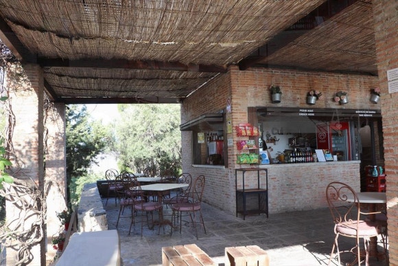 심슨 가족의 쇼트팅과 패트롤: Expires와 전문용어의 향연 관련 이미지 1