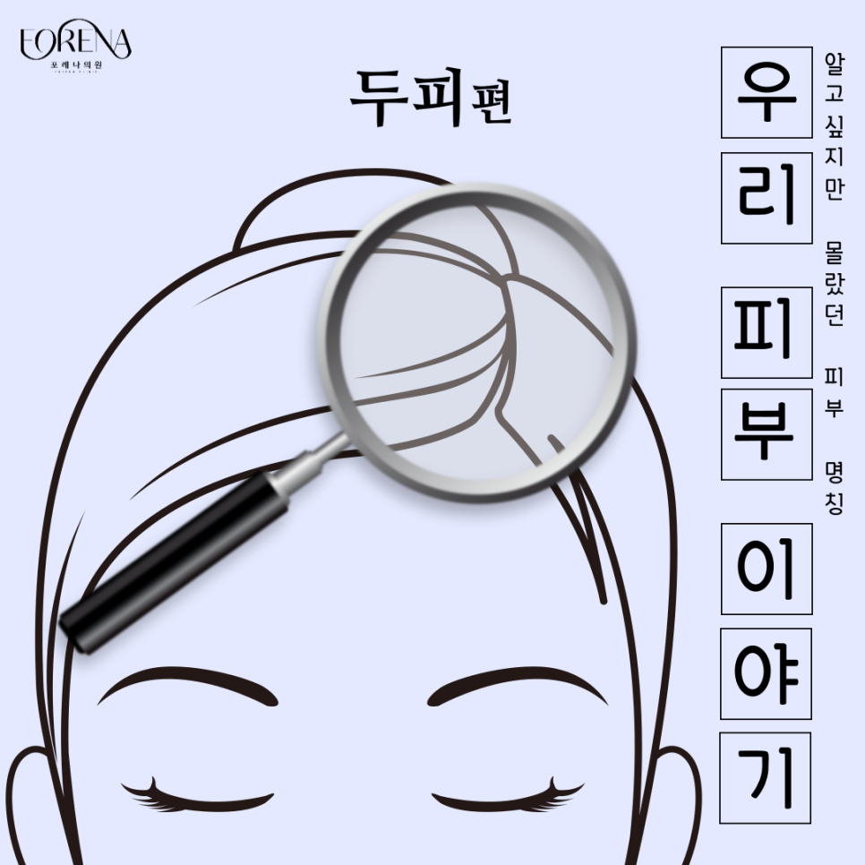 두피도 피부다? 두피에 대한 이야기!! 관련 이미지 2