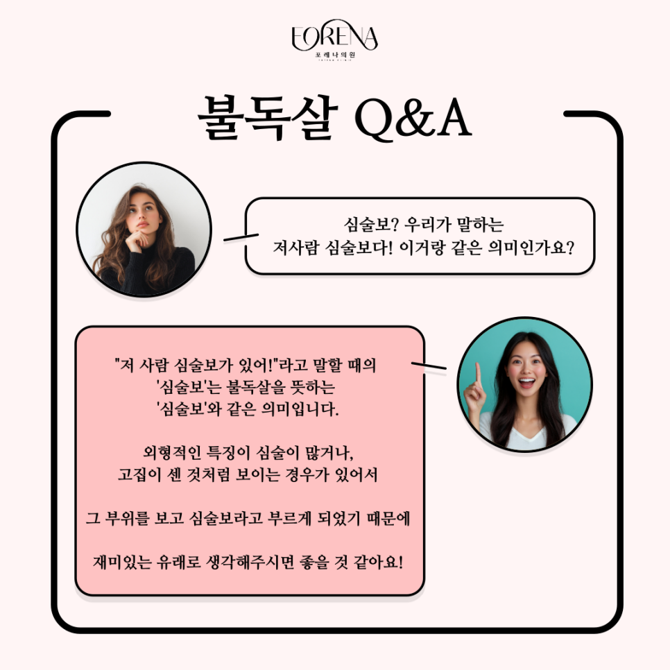 우리가 몰랐던 불독살에 관한 정보들과 이야기들을 알아보자 👀 관련 이미지 5