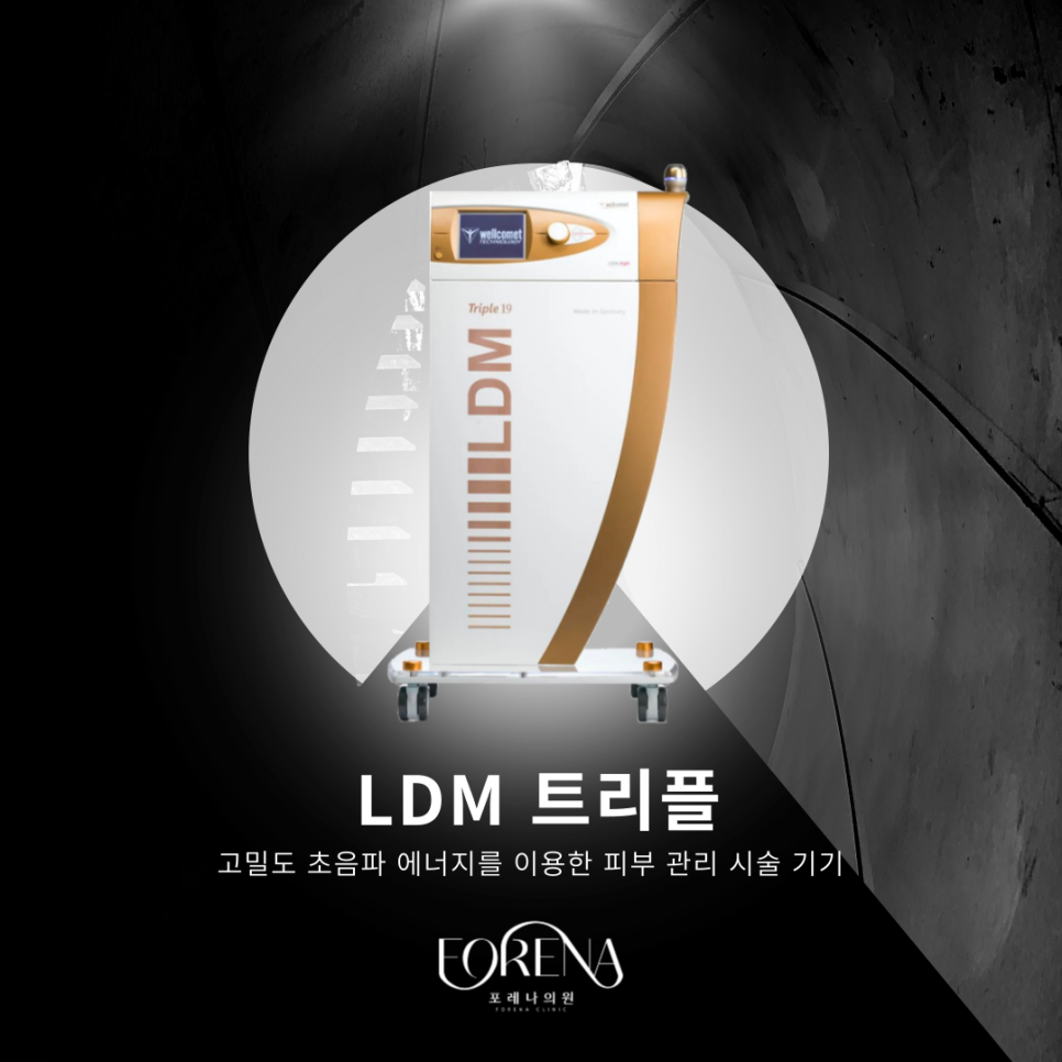 LDM 플러스를 알아보자 🔎 관련 이미지 3