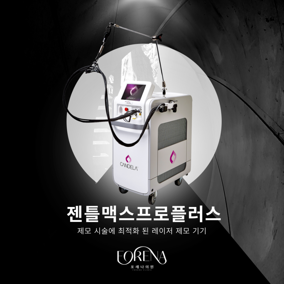 젠틀맥스 프로 플러스를 알아보자 🔎 관련 이미지 3