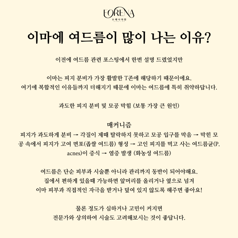 이마가 넓으면 T존도 넓은걸까? 이마에 대해 알아보자! 👀 관련 이미지 5