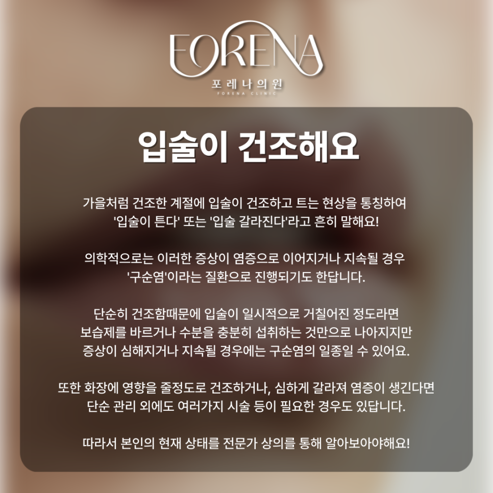 가을철 최대 고민 입술이 트고 건조하다면? 관련 이미지 3