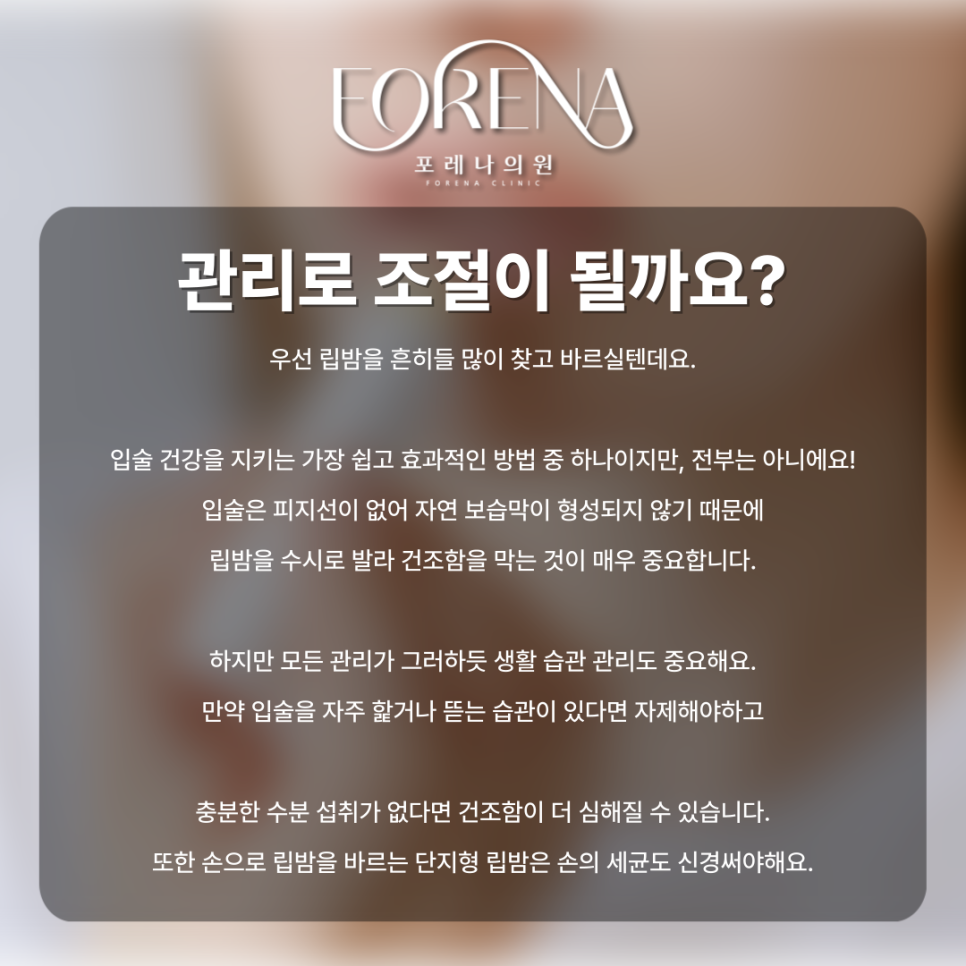 가을철 최대 고민 입술이 트고 건조하다면? 관련 이미지 4