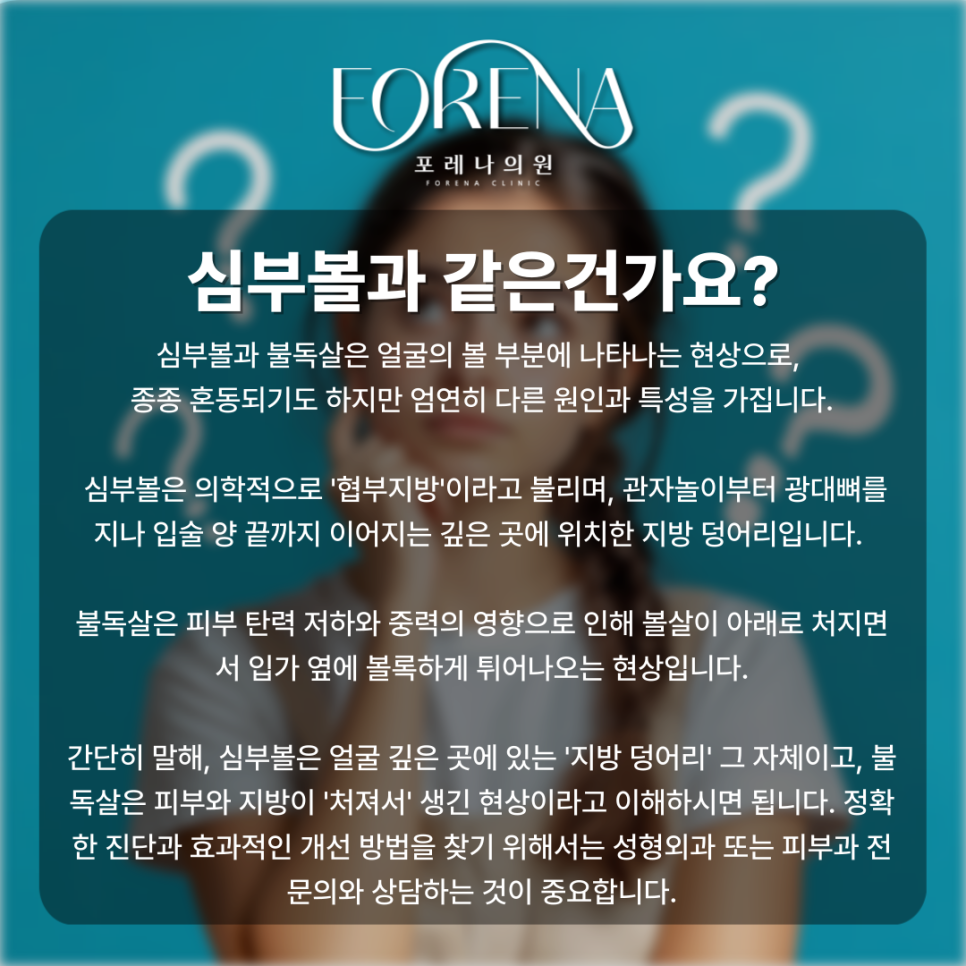 불독살 때문에 스트레스를 받는 분들을 위하여!🙍 관련 이미지 6