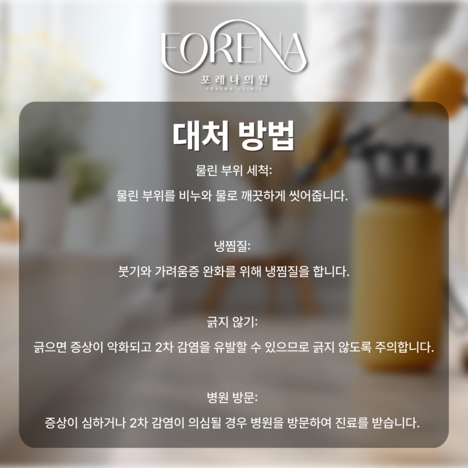 지긋지긋한 러브버그 피부에 미치는 영향은 없을까?🚨 관련 이미지 6