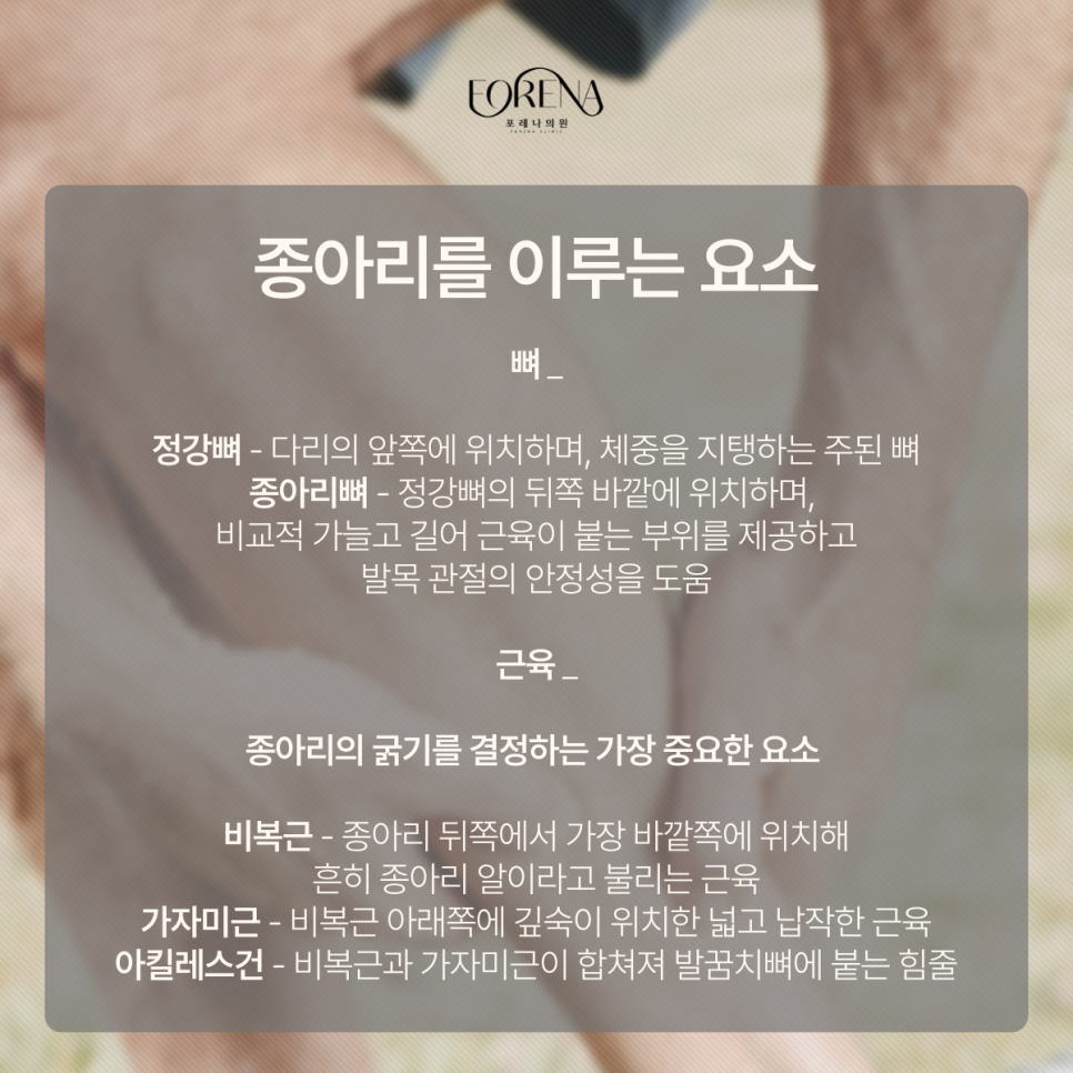 종아리는 정말 신의 영역?? 관련 이미지 4