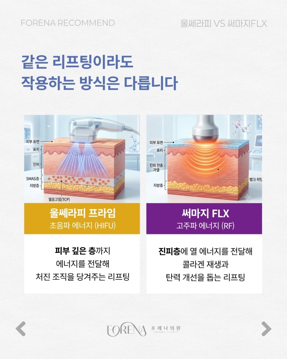 리프팅계의 양대산맥 관련 이미지 3