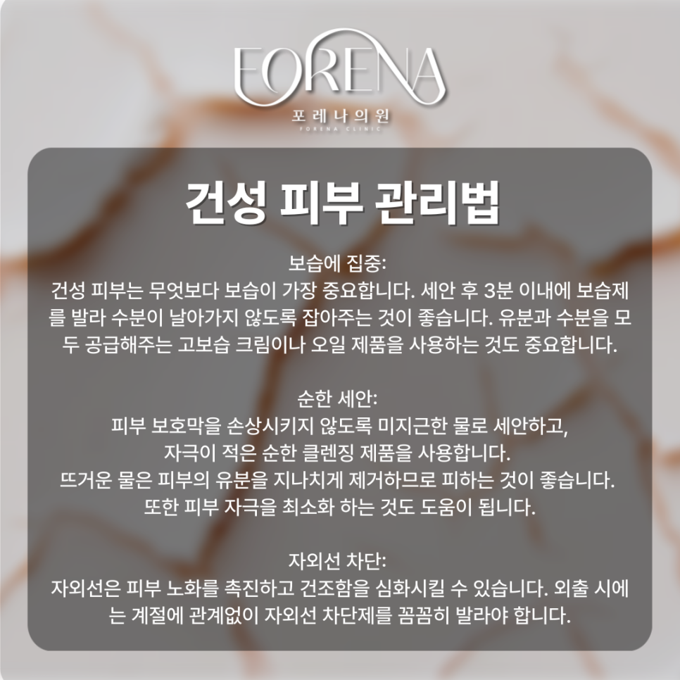 건성 피부 수분기만 부족한게 아니다?! 🏜️ 관련 이미지 6