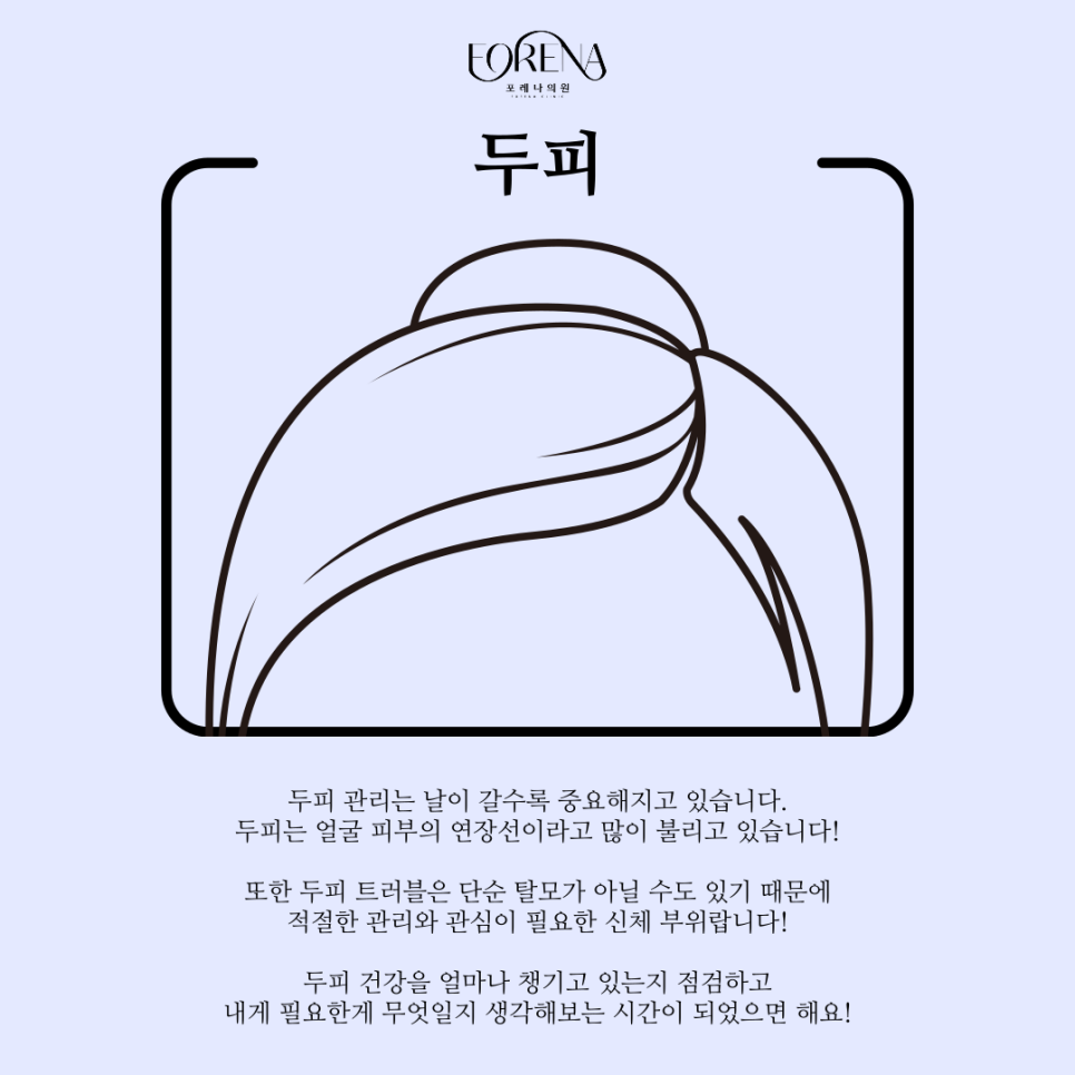 두피도 피부다? 두피에 대한 이야기!! 관련 이미지 3