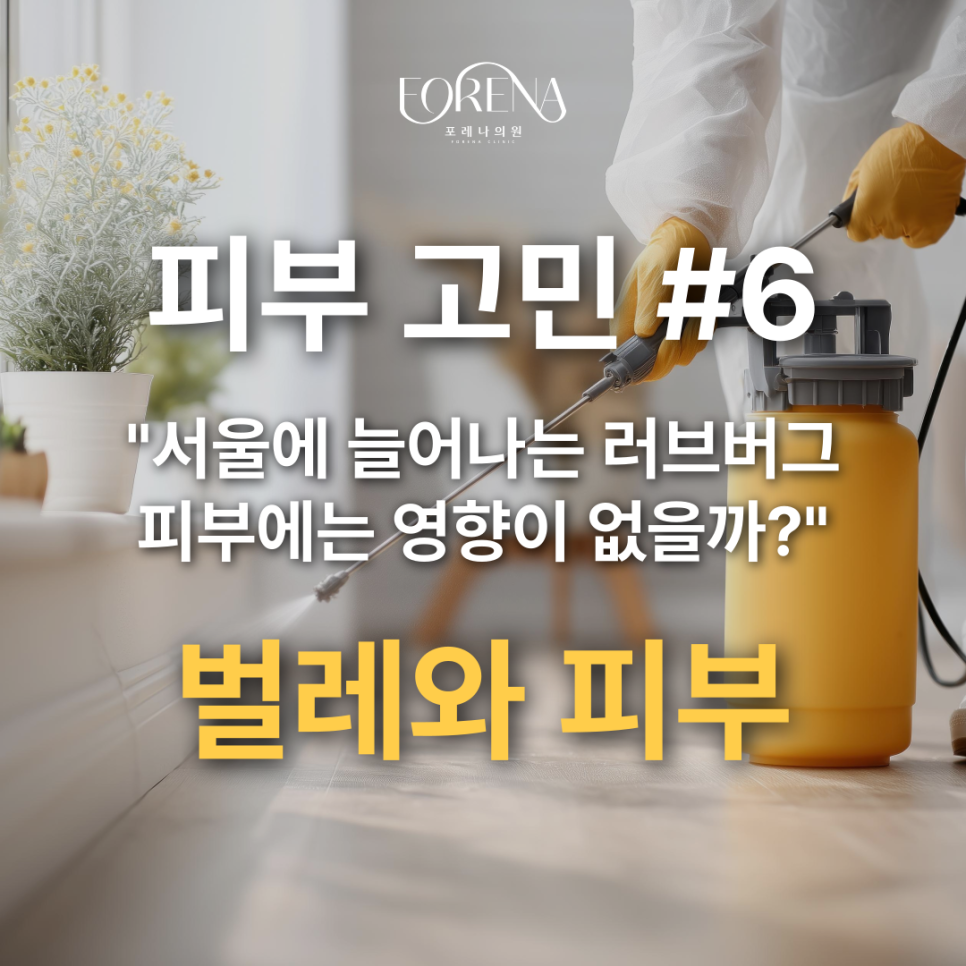 지긋지긋한 러브버그 피부에 미치는 영향은 없을까?🚨 관련 이미지 2