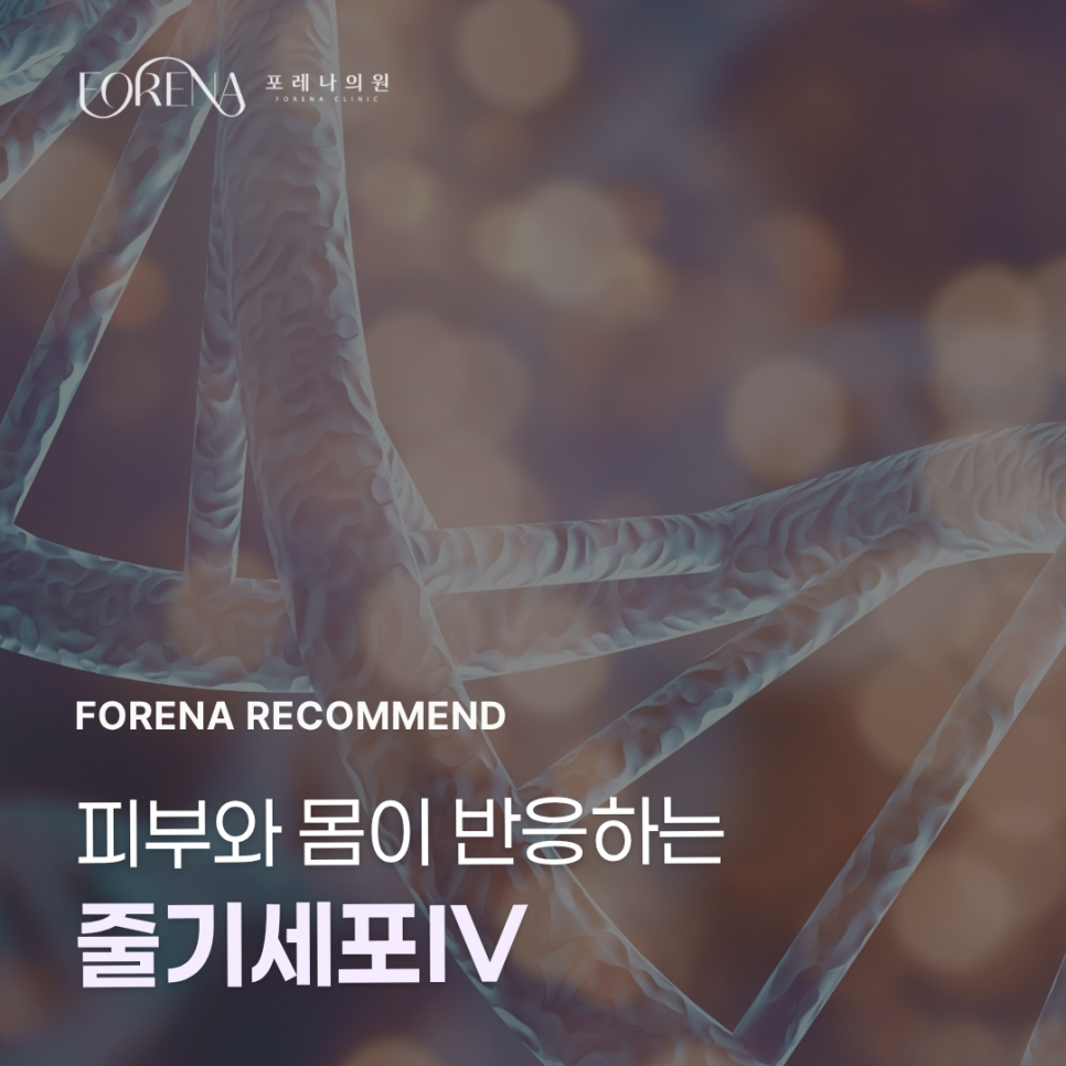 피부와 몸이 반응하는 줄기세포IV 관련 이미지 1
