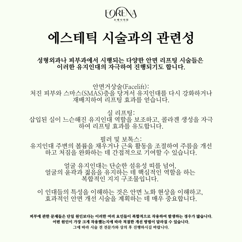 유지인대를 아시나요? 관절 인대와 유지인대는 다릅니다! 🫨 관련 이미지 5