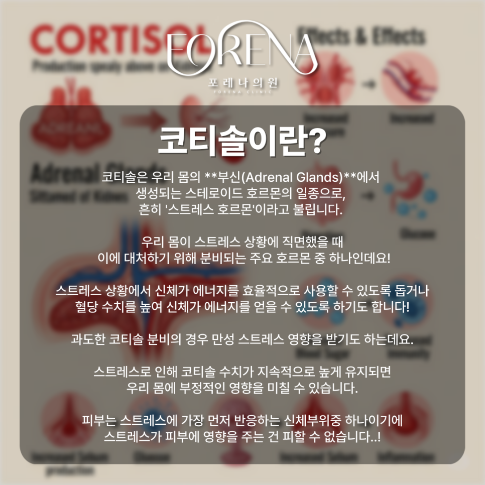 스트레스 때문에 피부가 자꾸 뒤집히는 이유? 스트레스가 피부에 주는 영향은? 스트레스 호르몬 코티솔🤦🏼 관련 이미지 5