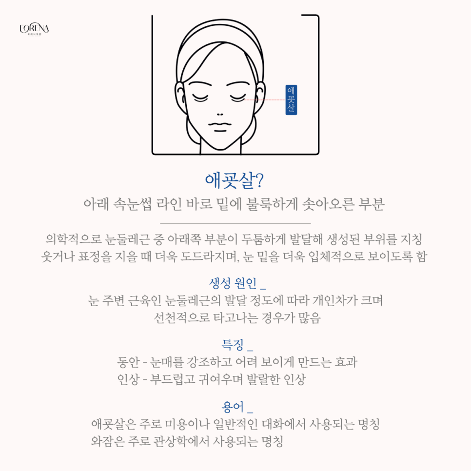 동안의 필수 요소? 애굣살! 관련 이미지 3
