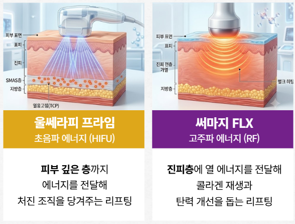 리프팅계의 양대산맥 관련 이미지 6