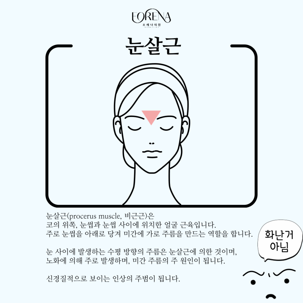 눈살근(비근근)이 무엇인지 알아보자!🙍🏻 관련 이미지 3
