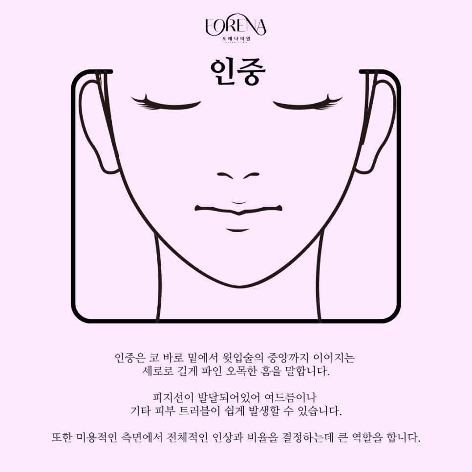 인중도 피부과 시술이 있나요? 인중에 대한 궁금증! 👀 관련 이미지 3