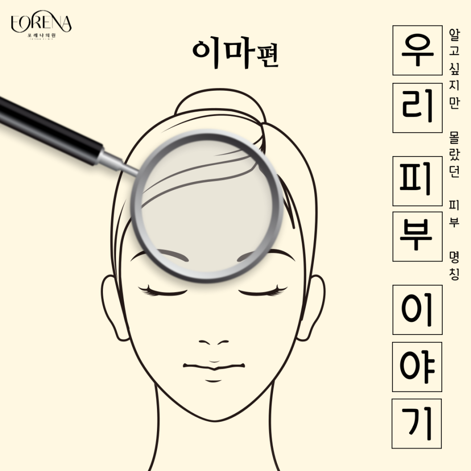 이마가 넓으면 T존도 넓은걸까? 이마에 대해 알아보자! 👀 관련 이미지 2