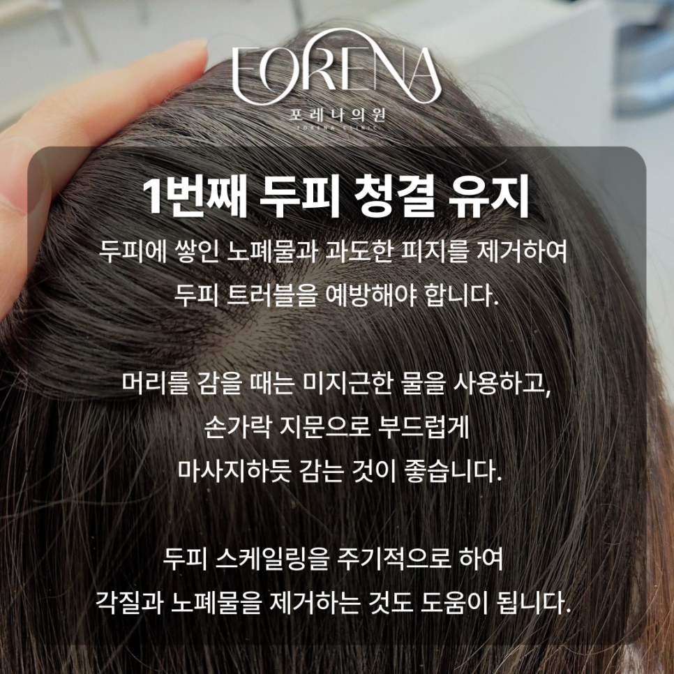 두피에 대한 고민이 많을 때 보세요. 두피에 힘이 없고 고민이 있을 때🪮 관련 이미지 6