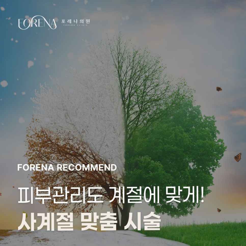 피부관리도 계절에 맞게 관련 이미지 1