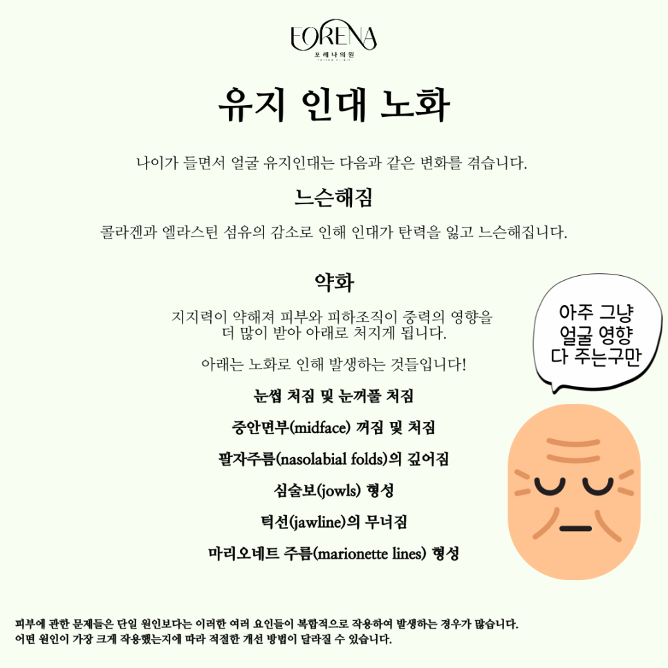 유지인대를 아시나요? 관절 인대와 유지인대는 다릅니다! 🫨 관련 이미지 4