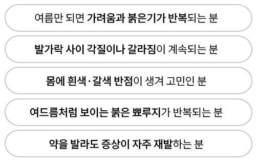 여름철 놓치기 쉬운 관련 이미지 11