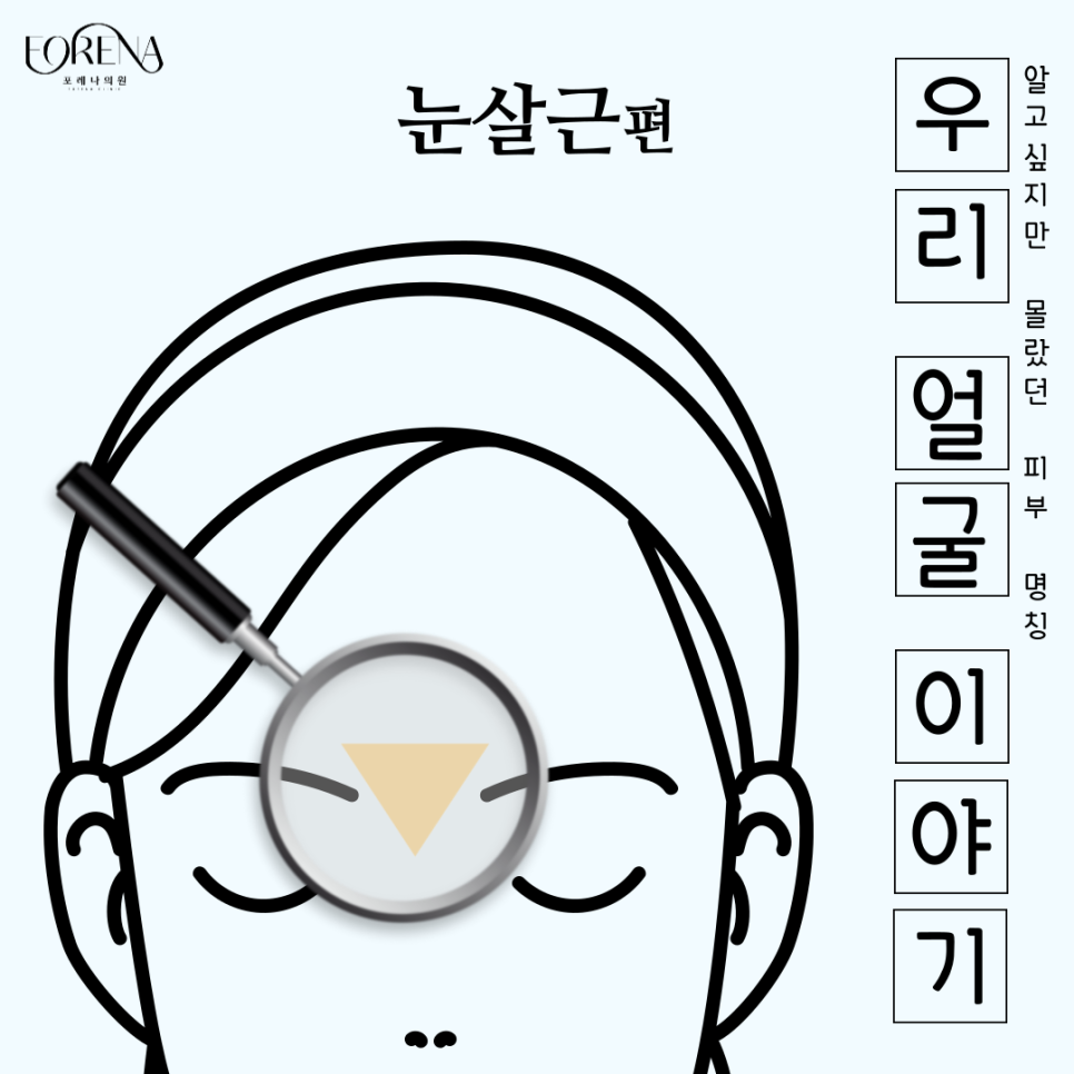 눈살근(비근근)이 무엇인지 알아보자!🙍🏻 관련 이미지 2