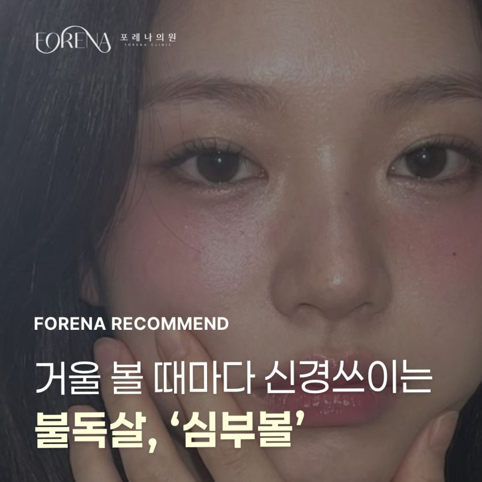 거울 볼 때마다 신경쓰이는 불독살, 관련 이미지 1