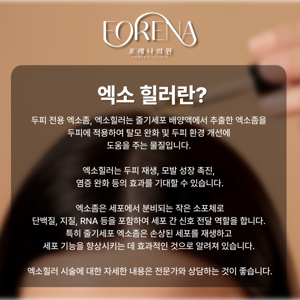 두피 전용 엑소좀 엑소힐러 시술 전 봐두면 좋은 주의사항 관련 이미지 3