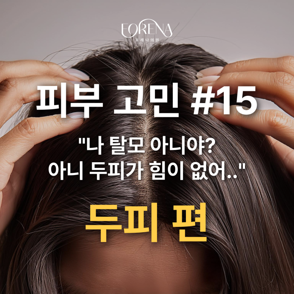 두피에 대한 고민이 많을 때 보세요. 두피에 힘이 없고 고민이 있을 때🪮 관련 이미지 2