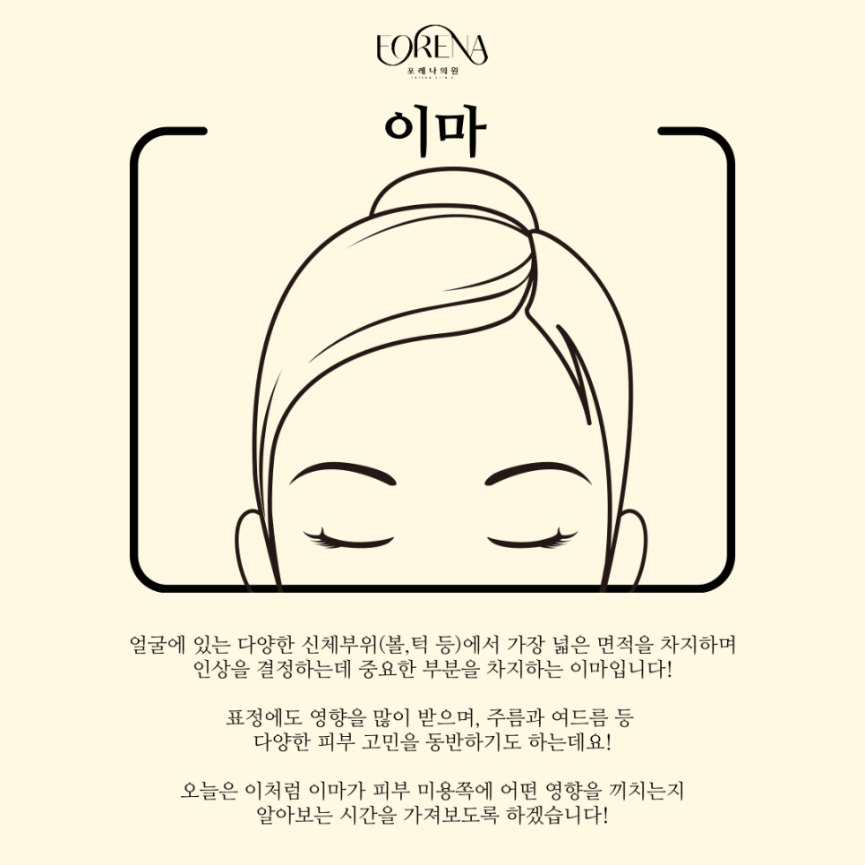 이마가 넓으면 T존도 넓은걸까? 이마에 대해 알아보자! 👀 관련 이미지 3