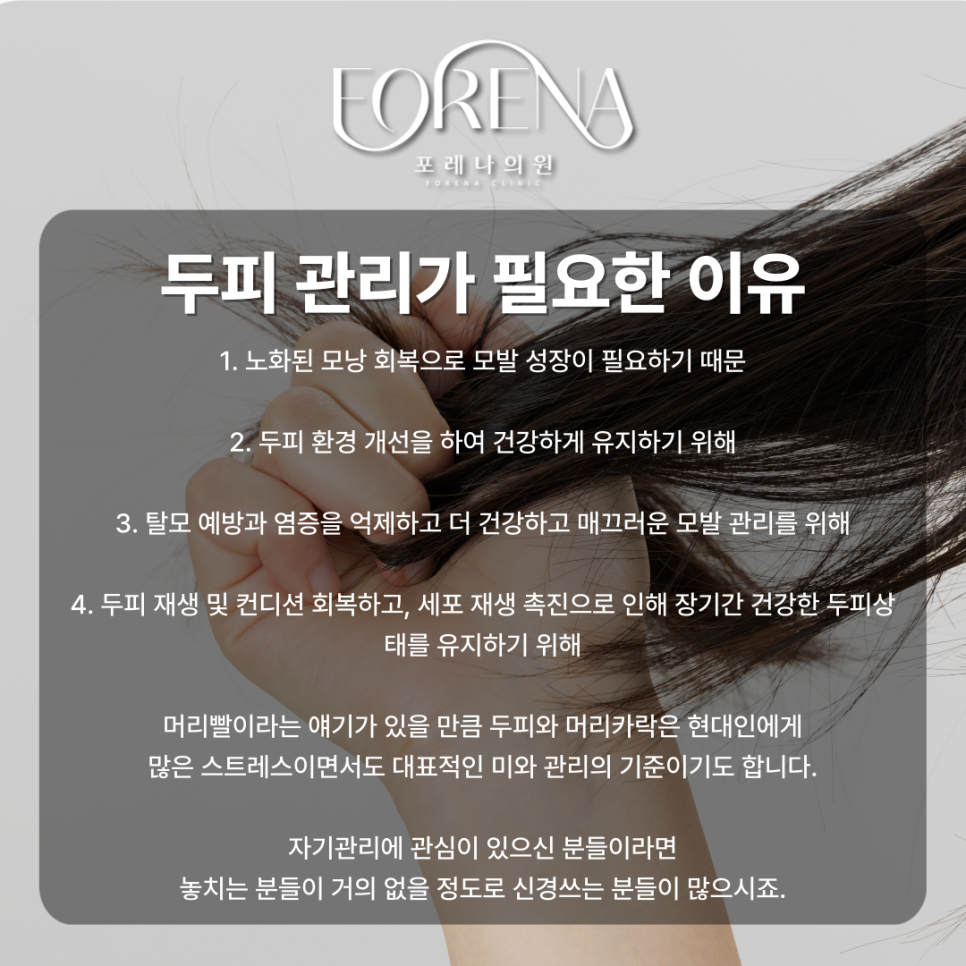 두피에 대한 고민이 많을 때 보세요. 두피에 힘이 없고 고민이 있을 때🪮 관련 이미지 5