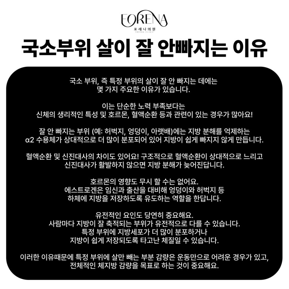 괘씸한 국소 부위?! 운동으로 안 빠지는 살들에 대해 알아보자! 관련 이미지 4