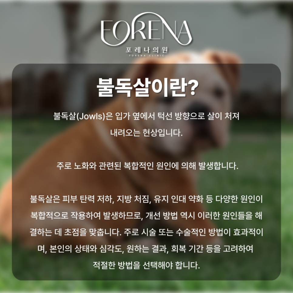 불독살 때문에 스트레스를 받는 분들을 위하여!🙍 관련 이미지 3