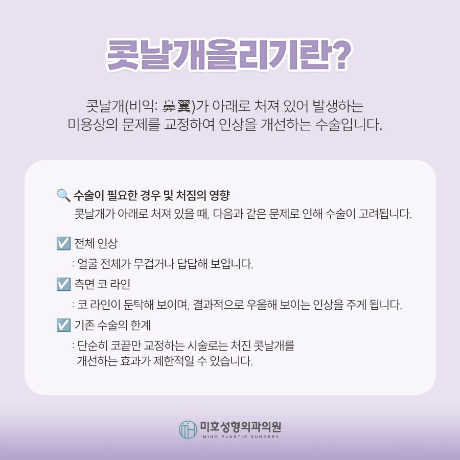 콧날개올리기 개개인에게 맞는 방식으로 관련 이미지 2