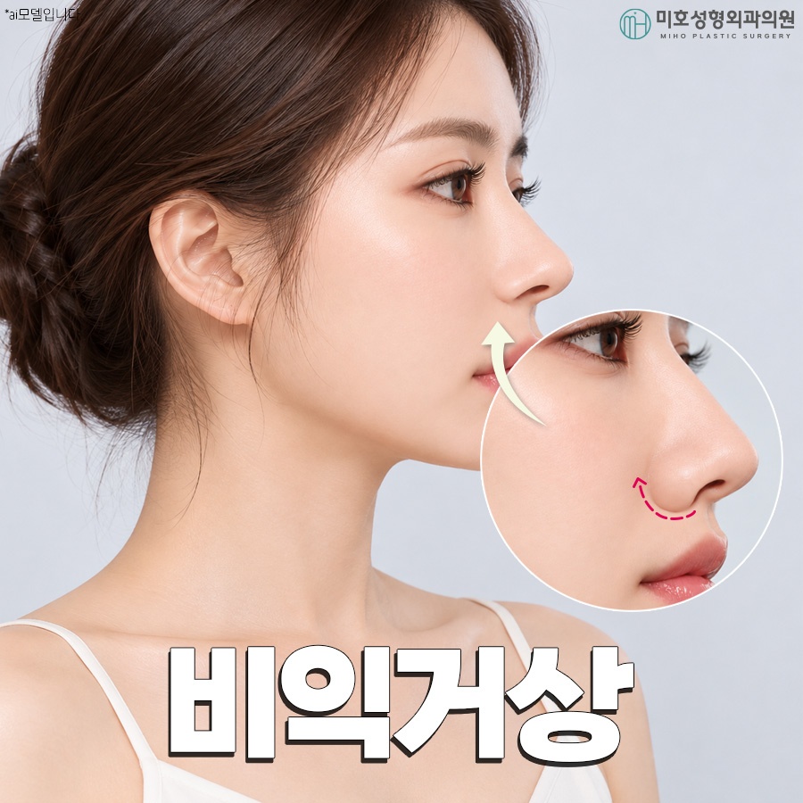 비익거상으로 예쁜 코 만드는 비결 총정리 관련 이미지 1