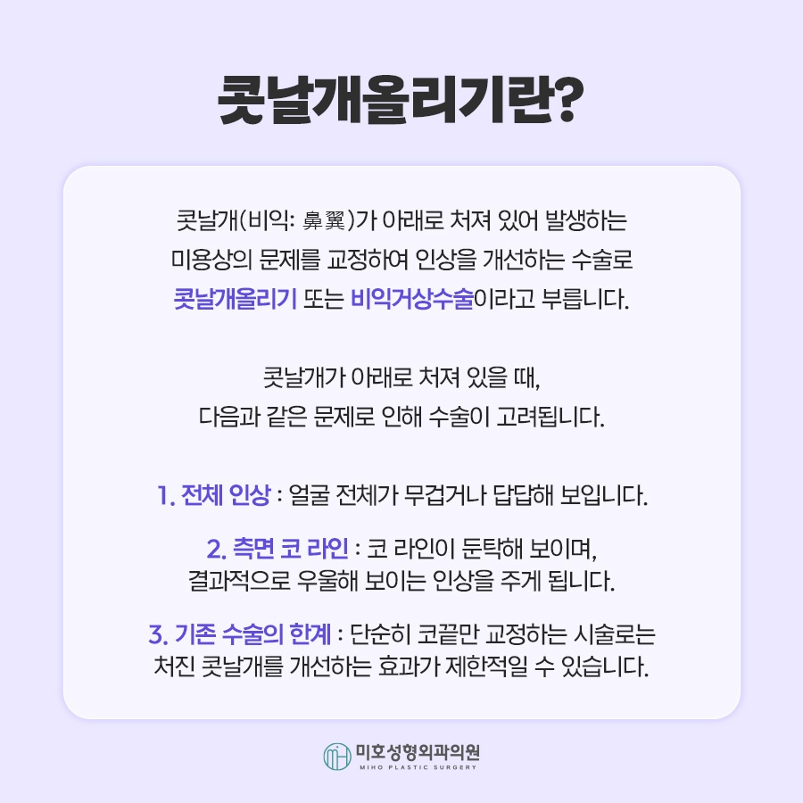 콧날개올리기 비익거상 기준 살펴보고 관련 이미지 2